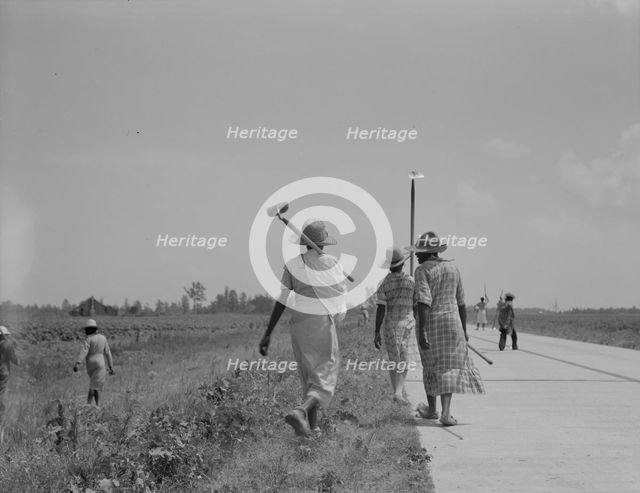 Cotton hoers (day laborers) move from one field across..., Mississippi Delta, 1937. Creator: Dorothea Lange.