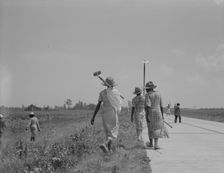 Cotton hoers (day laborers) move from one field across..., Mississippi Delta, 1937. Creator: Dorothea Lange