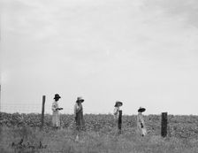 Cotton hoers leaving the fields for lunch, Georgia, 1937. Creator: Dorothea Lange