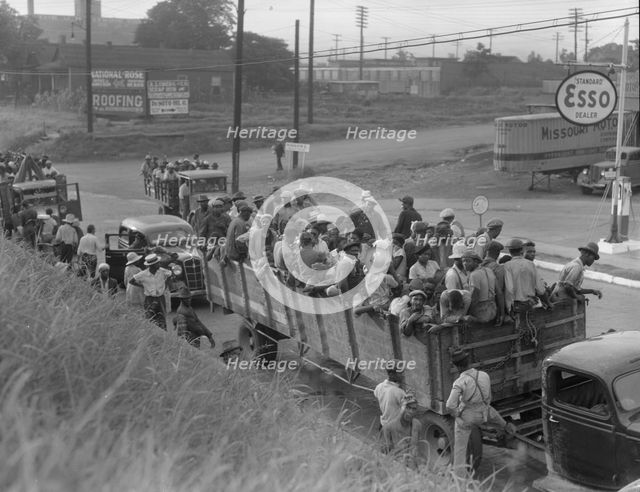 Cotton hoers loading at Memphis, Tennessee for the day's work in Arkansas, 1937. Creator: Dorothea Lange.