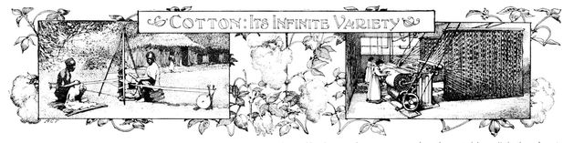 Cotton: Its Infinite Variety, 1909. Creator: Unknown.