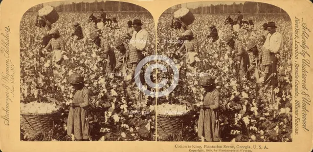 Cotton is king- A plantation scene, Georgia, 1895 (Inferred). Creator: Strohmeyer & Wyman.