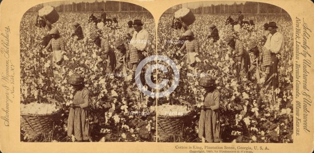 Cotton is king- A plantation scene, Georgia, 1895 (Inferred). Creator: Strohmeyer & Wyman.