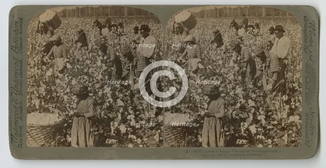 Cotton is King - Plantation Scene, Georgia, 1895. Creator: Strohmeyer & Wyman.