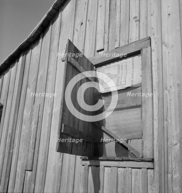 Cotton laborer's house, Louisiana, 1937. Creator: Dorothea Lange.