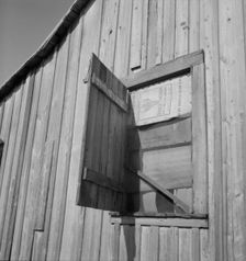 Cotton laborer's house, Louisiana, 1937. Creator: Dorothea Lange
