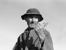 Cotton picker near Firebaugh, California, 1939. Creator: Dorothea Lange