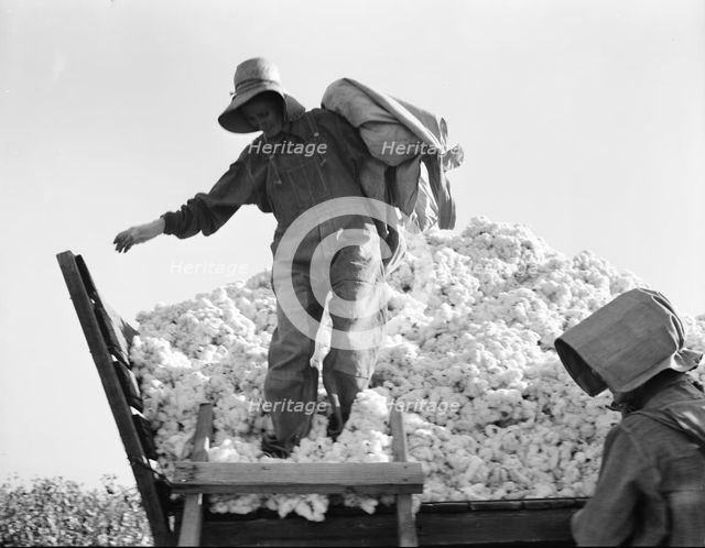 Cotton picker, San Joaquin Valley, California, 1936. Creator: Dorothea Lange.