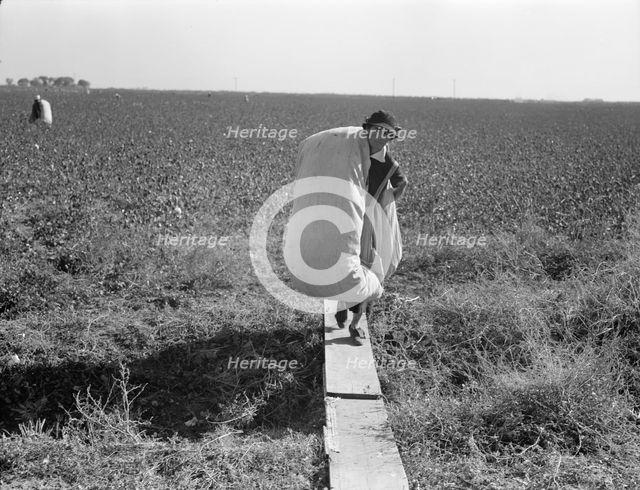 Cotton picker, San Joaquin Valley, California, 1936. Creator: Dorothea Lange.