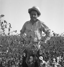 Cotton picker, San Joaquin Valley, California, 1936. Creator: Dorothea Lange