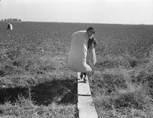 Cotton picker, San Joaquin Valley, California, 1936. Creator: Dorothea Lange
