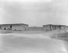Cotton pickers camp near Robstown, Texas, 1936. Creator: Dorothea Lange