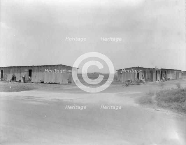 Cotton pickers camp near Robstown, Texas, 1936. Creator: Dorothea Lange.
