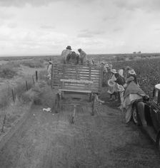 Cotton pickers emptying sacks, Kern County, California, 1938. Creator: Dorothea Lange