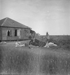 Cotton pickers in south Texas, 1936. Creator: Dorothea Lange