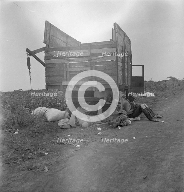 Cotton pickers' lunchtime, near Corpus Christi, Texas, 1936. Creator: Dorothea Lange.