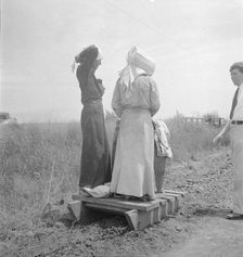 Cotton picking in south Texas, 1936. Creator: Dorothea Lange