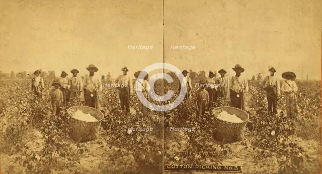 Cotton picking no. 3. [Group posing in the field with bale of cotton in foreground], (1868-1900?). Creator: O. Pierre Havens.