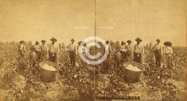 Cotton picking no. 3. [Group posing in the field with bale of cotton in foreground], (1868-1900?). Creator: O. Pierre Havens.