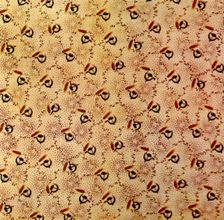 Cotton Print