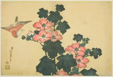 Cotton Roses and Sparrow, from an untitled series of Large Flowers, Japan, c. 1833/34. Creator: Hokusai