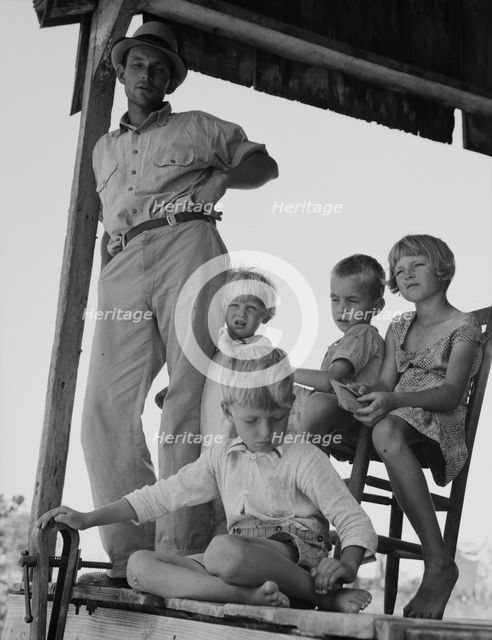 Cotton sharecropper family near Cleveland, Mississippi, 1937. Creator: Dorothea Lange.