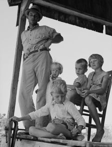 Cotton sharecropper family near Cleveland, Mississippi, 1937. Creator: Dorothea Lange