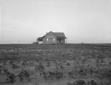 Cotton sharecropper farm, Texas, 1937. Creator: Dorothea Lange