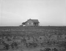 Cotton sharecropper farm, Texas, 1937. Creator: Dorothea Lange