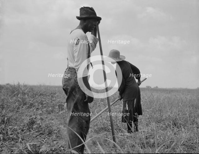 Cotton sharecroppers, Greene County, Georgia, 1937. Creator: Dorothea Lange.