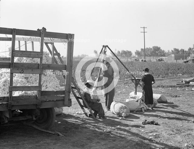 Cotton weigher, Southern San Joaquin Valley, California, 1936. Creator: Dorothea Lange.
