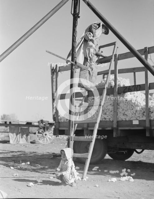 Cotton weigher, Southern San Joaquin Valley, California, 1936. Creator: Dorothea Lange.