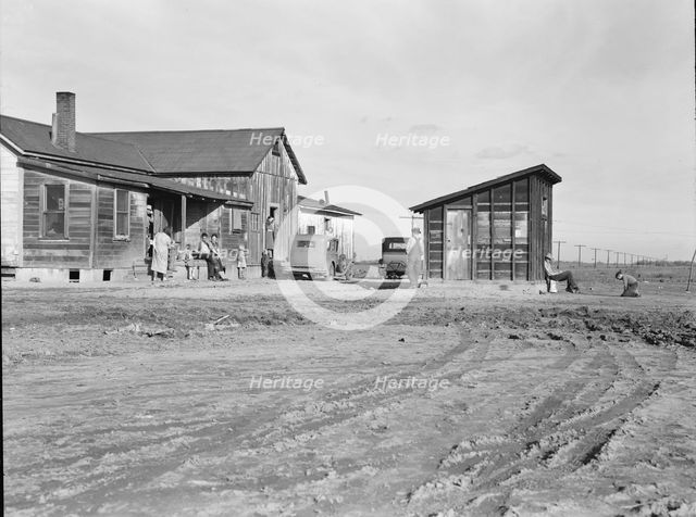 Cotton workers, outskirts of Firebaugh, west side of San Joaquin Valley, California, 1939. Creator: Dorothea Lange.