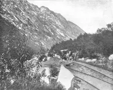 Cottonwood Canyon, Utah, USA, c1900. Creator: Unknown