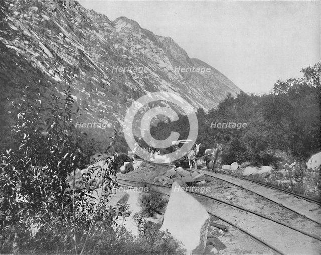 'Cottonwood Canon, Utah', c1897. Creator: Unknown.
