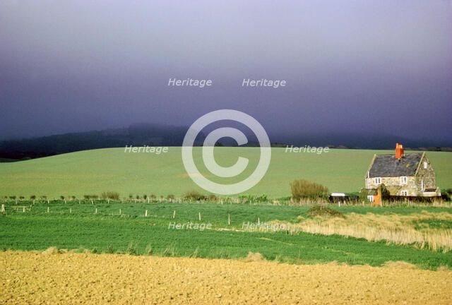 Cottage, Ventnor, Isle of Wight. Artist: Tony Evans