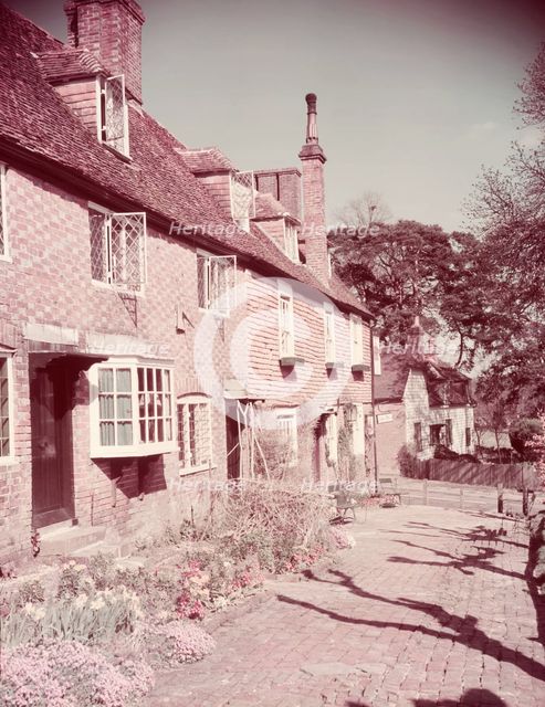 Cottage garden, Groombridge, Kent, c1955.  Creator: Arthur Charles Kirby Ware.