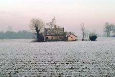 Cottage in a snowy field, Eye, Suffolk. Creator: Tony Evans