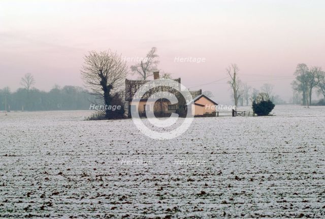 Cottage in a snowy field, Eye, Suffolk. Creator: Tony Evans.