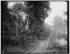 Cottage of Mr. C.H. Rood, Omena, between 1890 and 1901. Creator: Unknown