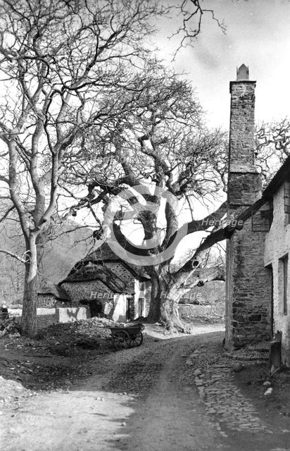 Cottages at Bossington, Somerset, c1900. Artist: Farnham Maxwell Lyte