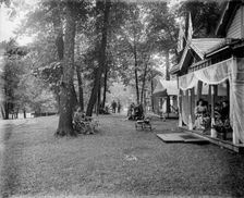 Cottages at Maplewood, between 1880 and 1899. Creator: Unknown