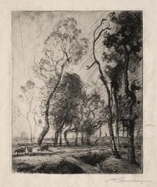 Coucher de Soleil derrière les Arbres, 1909. Creator: Auguste Louis Lepère (French, 1849-1918)