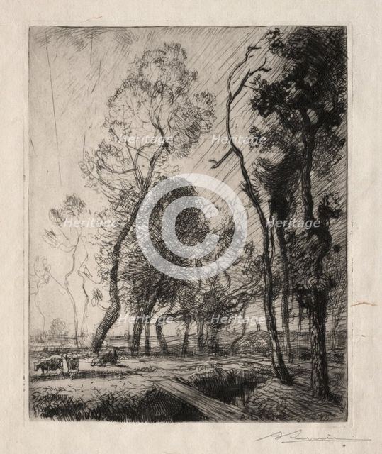 Coucher de Soleil derrière les Arbres, 1909. Creator: Auguste Louis Lepère (French, 1849-1918).
