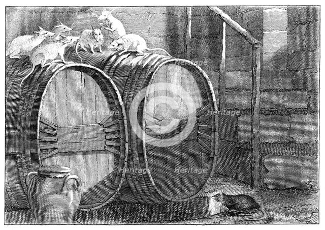 Council held by the Rats Artist: Unknown