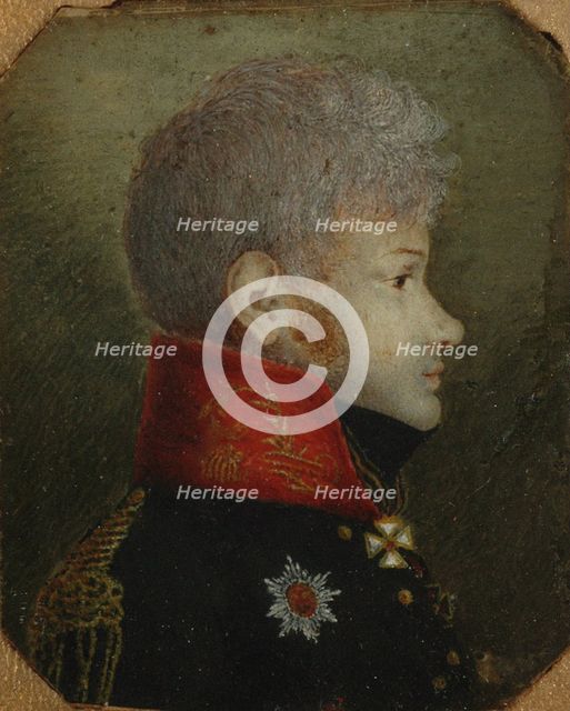 Count Mikhail Petrovich Dolgorukov (1780-1805), 1808-1809.