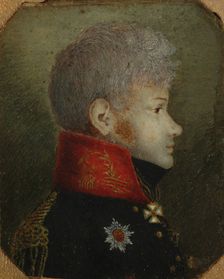 Count Mikhail Petrovich Dolgorukov (1780-1805), 1808-1809