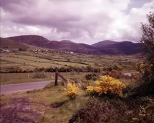 County Down, Northern Ireland, c1955. Creator: Arthur Charles Kirby Ware