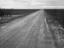 County road between potato fields, Kern County, California , 1939. Creator: Dorothea Lange