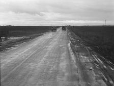 County road between potato fields, Kern County, California, 1939. Creator: Dorothea Lange